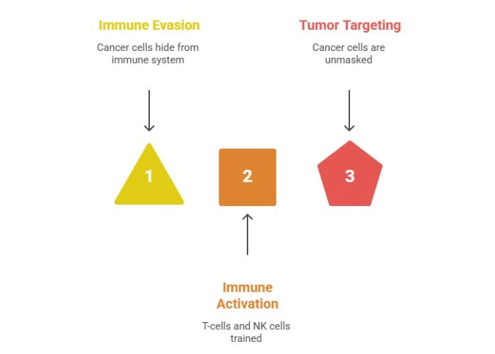 Symptoms of Head and Neck Cancer